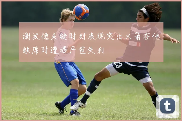 谢泼德关键时刻表现突出火箭在他缺席时遭遇严重失利