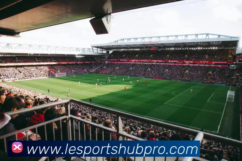 乐视体育品牌故事